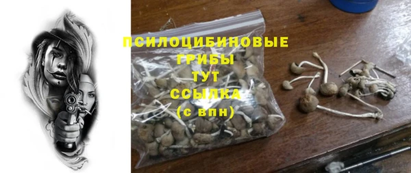 дмт Горняк