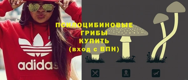 a pvp Горнозаводск
