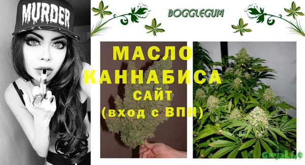 дмт Горняк
