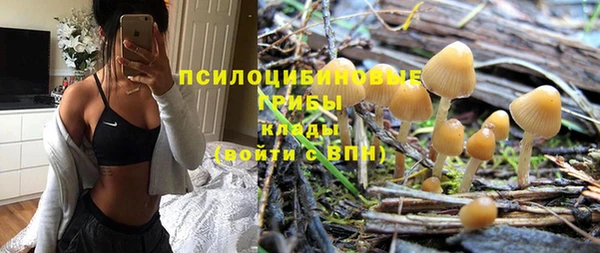 бошки Горно-Алтайск