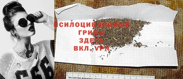 a pvp Горнозаводск